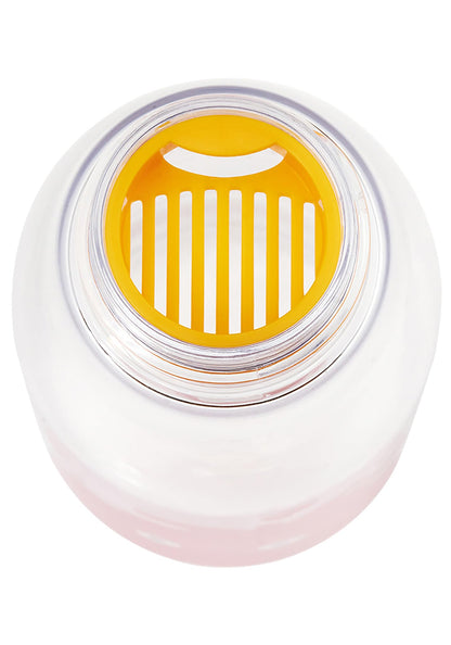 Skater 500ml Water Bottle W/Tea Strainer Howl's Moving Castle PTY5-A- Japan Figure Store - #1 Bring To You The Best Japanese Goods