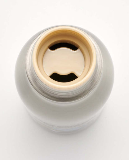 Skater Ssw6N-A 600ml Moomin Thermal/Cold Steel Water Bottle- Japan Figure Store - #1 Bring To You The Best Japanese Goods