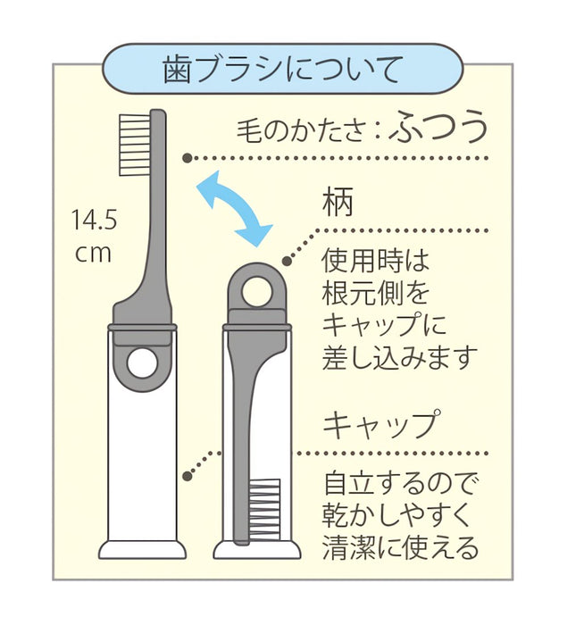 SKATER Sumikko Gurashi Toothbrush Dental Kit- Japan Figure Store - #1 Bring To You The Best Japanese Goods