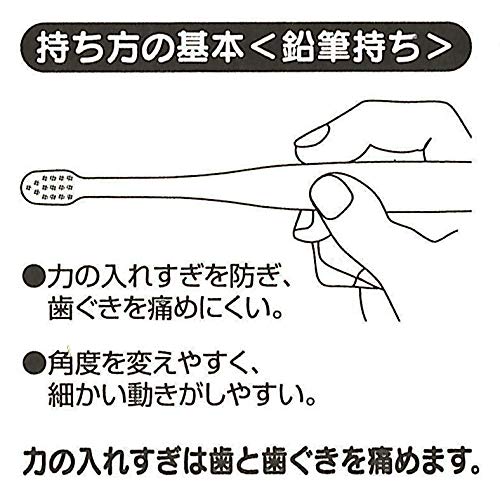 SKATER Clear Soft Toothbrush Set 3 Pcs For Kindergarten Kids Totoro Plants- Japan Figure Store - #1 Bring To You The Best Japanese Goods