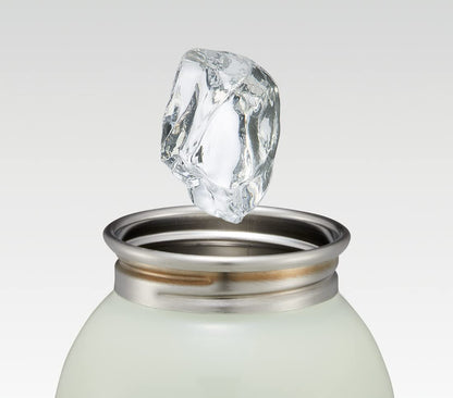 Skater 580ml SS Bottle My Neighbor Totoro Strawberry SSSC6-A- Japan Figure Store - #1 Bring To You The Best Japanese Goods