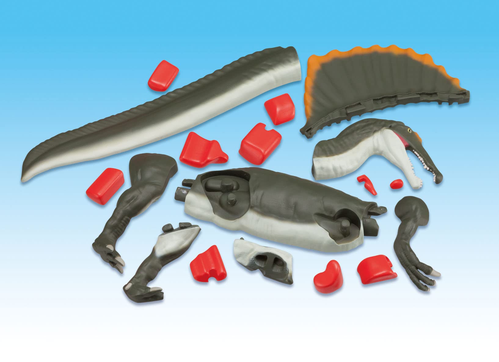 Megahouse Spinosaurus Restoration Puzzle - Made In Japan- Japan Figure Store - #1 Bring To You The Best Japanese Goods