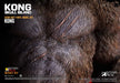 Tar Ace Toys Ltd Kong Skull Island 12.5 Soft Vinyl Model Kit - Japan- Japan Figure Store - #1 Bring To You The Best Japanese Goods