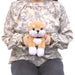 SUNLEMON Plush Doll Knee Dog Shiba Beige Ss- Japan Figure Store - #1 Bring To You The Best Japanese Goods