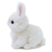 SUNLEMON Plush Doll Lapinou Dwarf Hotot Tjn- Japan Figure Store - #1 Bring To You The Best Japanese Goods