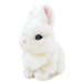 SUNLEMON Plush Doll Lapinou Dwarf Hotot Tjn- Japan Figure Store - #1 Bring To You The Best Japanese Goods