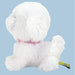 SUNLEMON Plush Doll Pups! Bichon Frise Size S Tjn- Japan Figure Store - #1 Bring To You The Best Japanese Goods