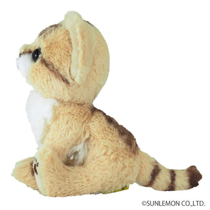 Plush Doll Kitten Sand Cat- Japan Figure Store - #1 Bring To You The Best Japanese Goods