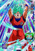 Super Dragon Ball Heroes 9 Pocket Binder Set- Japan Figure Store - #1 Bring To You The Best Japanese Goods