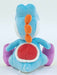 Super Mario All Star Collection Plush Light Blue Yoshi S- Japan Figure Store - #1 Bring To You The Best Japanese Goods