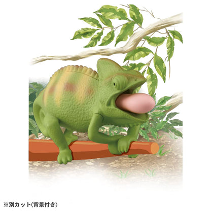 Takara Tomy Ania Chameleon Toy Veiled Dinosaur Figure for Kids 3+- Japan Figure Store - #1 Bring To You The Best Japanese Goods