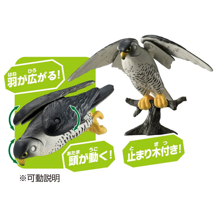 Takara Tomy Ania As-44 Falcon Animal Dinosaur Toy Japan Age 3+- Japan Figure Store - #1 Bring To You The Best Japanese Goods