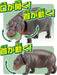 TAKARA TOMY As-16 Animal Adventure Pygmy Hippopotamus Parent And Child Figure- Japan Figure Store - #1 Bring To You The Best Japanese Goods