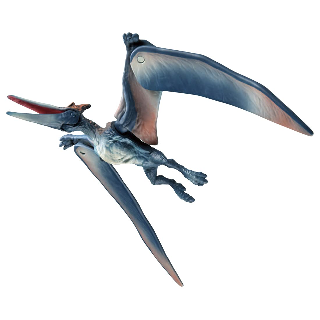 Takara Tomy Ania Jurassic World Pteranodon Realistic Moving Toy for Ages 3+- Japan Figure Store - #1 Bring To You The Best Japanese Goods