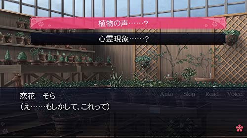 Takuyo Koi No Hanasaku Hyakkaen Nintendo Switch - New Japan Figure 4520644700037 1