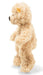 Steiff Fynn Teddy Bear Beige 18cm Buy Teddy Bear From Japanese Online Store- Japan Figure Store - #1 Bring To You The Best Japanese Goods