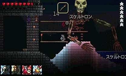 Terraria 3Ds Used