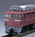 Tomytec Tomix N Gauge Ef81 Unit 81 - 9171 Railway Model Electric Locomotive- Japan Figure Store - #1 Bring To You The Best Japanese Goods