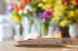 Tomytec Tomix N Gauge N700A Nozomi Fm-006 First Car Museum Model Train- Japan Figure Store - #1 Bring To You The Best Japanese Goods